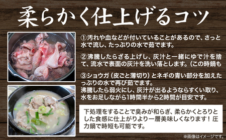 国産牛すじ300g×6パック