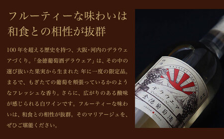 金徳葡萄酒　デラウエア 750ml×1本 750ml×1本