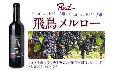 自社畑ぶどう100%赤白セット 750ml×2本 