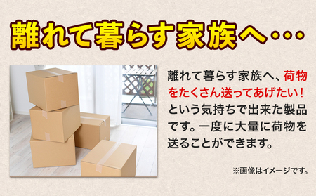 宅袋とくとくパック 160 サイズ 2個入