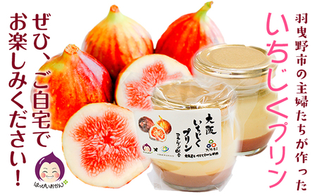 大阪いちじくプリン 100g×5個入り
