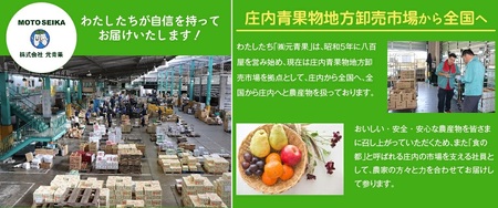 SB0905　シャインマスカット　1.5kg以上(3房) 化粧箱入