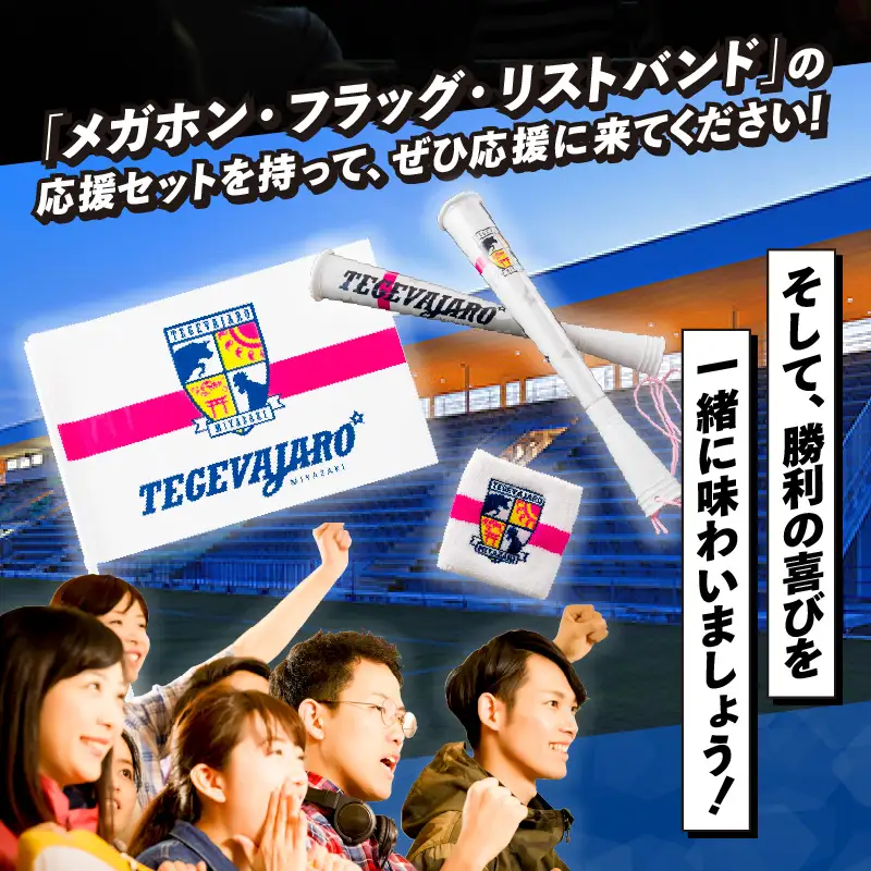 テゲバジャーロ宮崎　応援グッズ3点セット テゲバ 応援 グッズ
