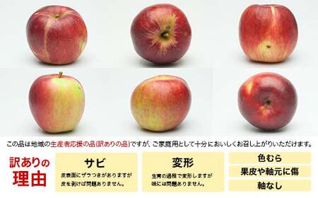 FYN6-148 りんご ご家庭 加工用 山形県産 紅玉 約4.5kg りんご 2026年先行予約