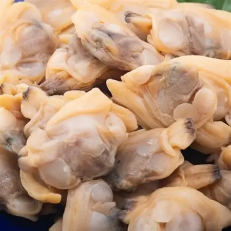 アサリのふっくら煮10袋セット_魚介・海産物 あさり 貝 アサリ 浅蜊_【配送不可地域：離島】【1498638】