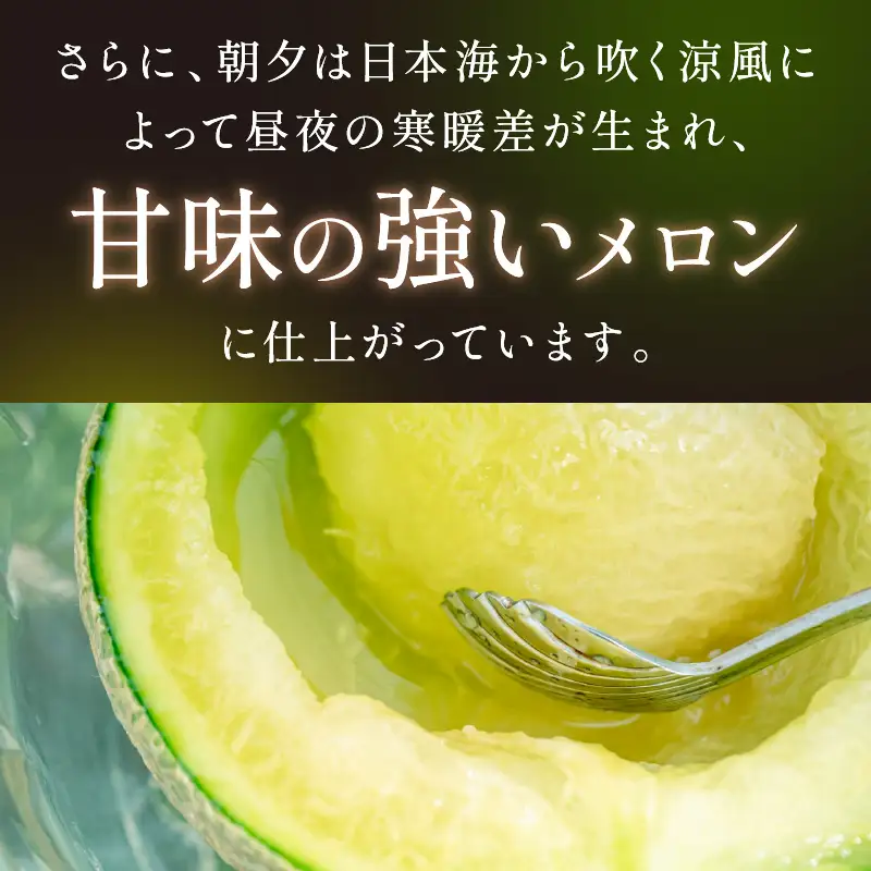 メロン／砂丘メロン 2L以上 1玉