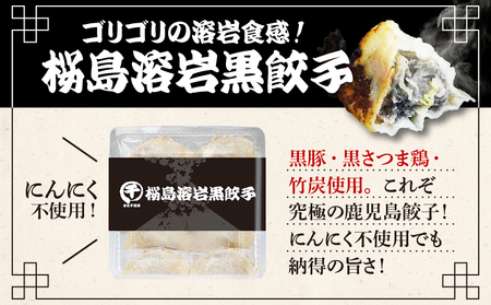 まる千餃子 食べ比べセット K067-003 肉 豚肉 惣菜 総菜 冷凍