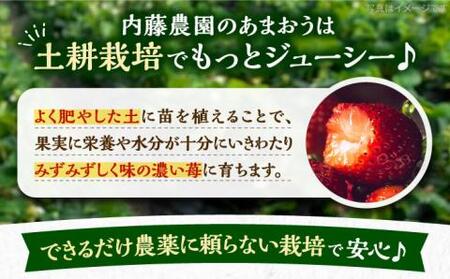 【先行予約】【1月発送】農家直送 あまおう 厳選デラックスG 1080g(270g以上×4P)土耕栽培[VAB003]果物 あまおう