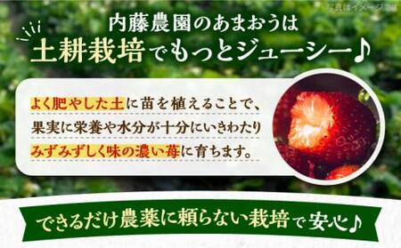 【先行予約】【1月発送】農家直送 あまおう 1080g(270g以上×4P)土耕栽培[VAB004]果物 アマオウ