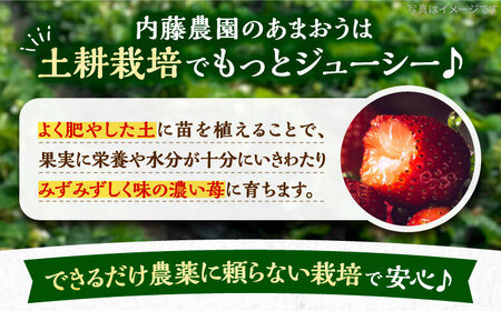 【先行予約】【2月-4月発送】あまおう 贈答用 エクセレント 430g以上×1箱[VAB010]