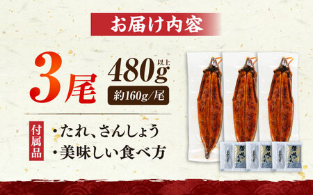 国産うなぎ蒲焼 鰻大3尾 480g[VAD003] 鰻