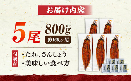 国産うなぎ蒲焼 大5尾 800g[VAD004] 鰻 鰻