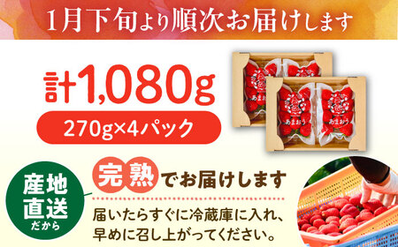【先行予約】ココロファームの濃厚あまおう 270g×4パック[VAE022]
