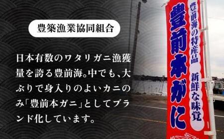 【先行予約】豊前本ワタリガニ 大 メス 3匹 直送 [VAG011] ﾜﾀﾘｶﾞﾆ 渡り蟹