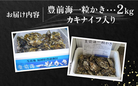 【先行予約】豊前海一粒かき 2kg+かきナイフ付き[VAG013] 牡蠣