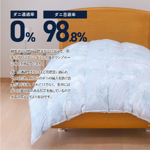 【秋冬対応品】羽毛布団　オリジナル染柄/柳染色(セミダブル) 羽毛布団 寝具 掛けふとん セミダブル ふとん 本掛け