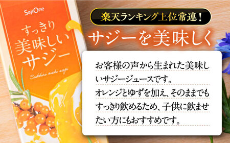 【3か月分を一回で配送】すっきり美味しいサジー 6本 [VAX046]