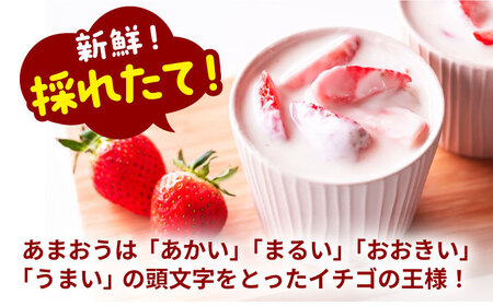 【訳あり】博多和牛 切り落とし 500g & 冷凍あまおう 800g セット[VBB015] 冷凍あまおう