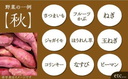 【全12回定期便】農家が選ぶ！ 旬の新鮮野菜セット[VBE010]産直 野菜 やさい 詰め合わせ