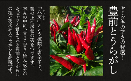 からし高菜120g×6個セット[VBG004]【株式会社瑞穂】