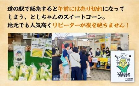 【先行予約】としちゃんのスイートコーン 約4kg 11-13本 [VBH001] スイートコーン
