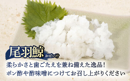 【父の日】お酒と合う！ くじら肉【2種】尾羽鯨＆さえずり食べ比べセット 各100g[OBR010]