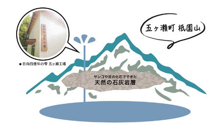 日向四億年の雫　素粒子機能水（２リットル×６本入×２箱）
