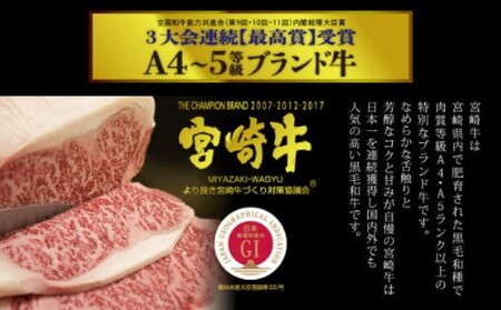 宮崎牛　こま肉＆ミンチセット＜合計１㎏＞（こま肉４００ｇ・ミンチ６００ｇ）