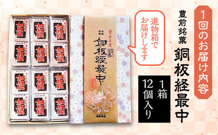 【全12回定期便】【進物箱】銅板経最中 12個入り[VBU013]ギフト 贈り物 和菓子 饅頭