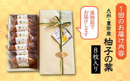 【全12回定期便】【進物箱】柚子の葉 8枚入り[VBU019]ギフト 贈り物 和菓子