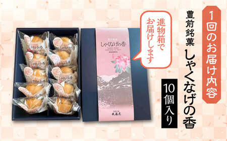 【全3回定期便】【進物箱】しゃくなげの香 10個入り[VBU020]ギフト 贈り物 和菓子