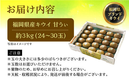 【先行予約】キウイ「 甘うぃ (あまうぃ)」約3kg箱(24-30玉)[VBY005] キウイ
