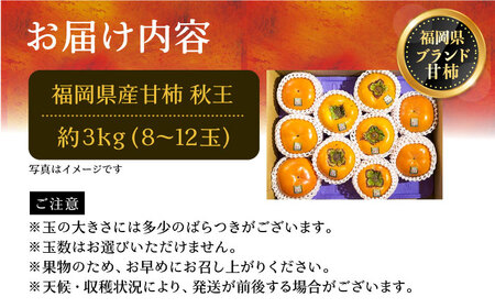 【先行予約】秋王 ( あきおう ) 柿 3kg 箱 (8-12玉)[VBY007] 柿