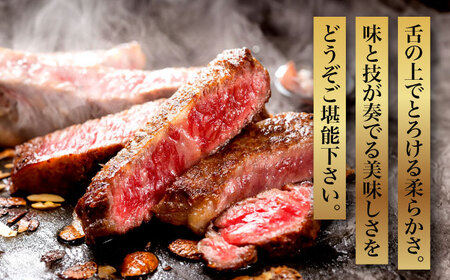 【全6回定期便】【化粧箱入】博多和牛A5〜A4 肩ロースミニステーキ400g ソース・塩胡椒付[VCL100]