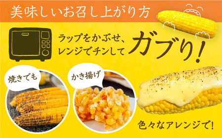 【先行予約】夜明けのスイートコーン 4kg×2箱 14-20本 [VCO002] コーン とうもろこし