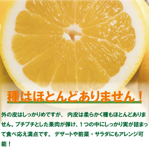 【順次発送中】 訳あり 河内晩柑 サイズ不揃い 約4kg 【VEG0291】
