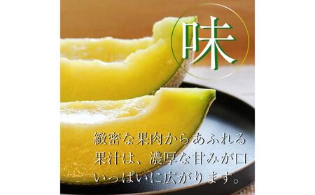 【偶数月6ヶ月定期便】クラウンメロン【並（白等級）】小玉（1.1kg前後）3玉入り 