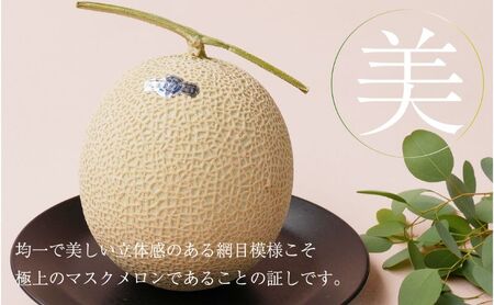メロン 定期便 6ヶ月 クラウンメロン 白等級 特大級 1.5kg前後 6玉 フルーツ 果物 高級フルーツ 高級果物 季節のフルーツ 季節の果物 旬のフルーツ 旬の果物 フルーツ定期便 くだもの定期便 マスクメロン 青肉 静岡メロン 静岡県 浜松市 6回 定期
