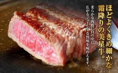 【定期便3か月】岡山 黒毛和牛 美星牛 A4等級以上 牛脂付き 3か月 定期便 合計約1200g 生産者直送便 美星町 美星牧場 定期便【黒毛和牛 肉 牛 岡山県 倉敷市 おすすめ 人気】
