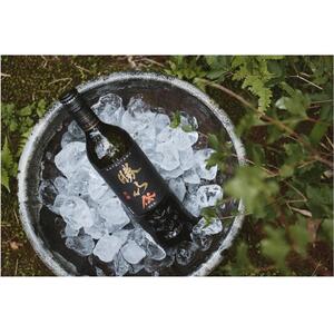 勝山 純米大吟醸 伝（でん）　【お酒・日本酒・純米大吟醸酒】