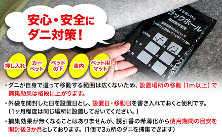 ダニ 対策 ダニ取り パック ブラックホール 10個