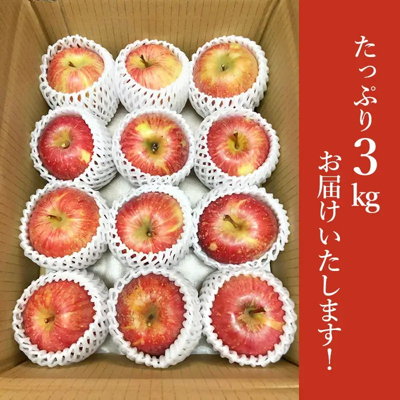 【令和8年産先行予約】　山形県鶴岡産 りんご シナノスイート　約3kg（7～12玉）　庄内産直センター　| リンゴ 林檎 フルーツ 果物 くだもの 旬 産地直送 期間限定 人気 美味しい お取り寄せ 庄内 東北 返礼品