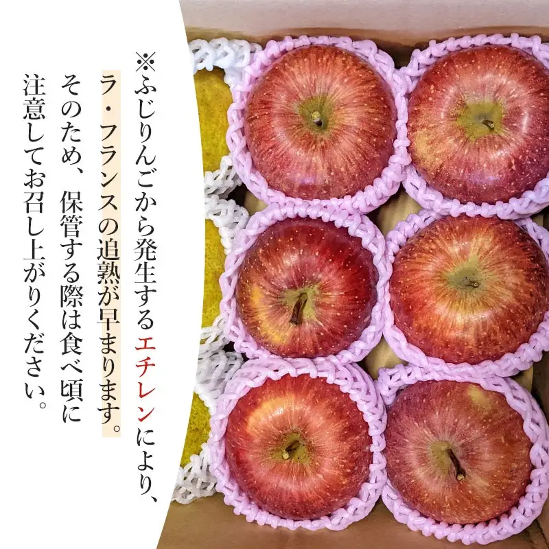【令和8年産先行予約】ラ・フランス＆ふじりんごセット　約3kg（10～12玉入）　山形県鶴岡市　庄内産直センター　| ラフランス 洋梨 洋なし りんご 林檎 リンゴ 果物 くだもの フルーツ 旬 期間限定 産地直送 人気 美味しい お取り寄せ 庄内 東北 返礼品