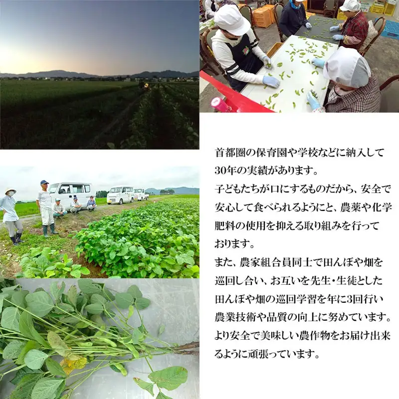 【令和8年産先行予約】山形県鶴岡特産　だだちゃ豆 1.6kg（200g×8袋）レンジ調理対応袋入　庄内産直センター　| 枝豆 豆 まめ マメ 野菜 産地直送 期間限定 夏野菜 旬 おつまみ ビール 香り 濃厚 レンチン お取り寄せ おすすめ 人気 美味しい 返礼品