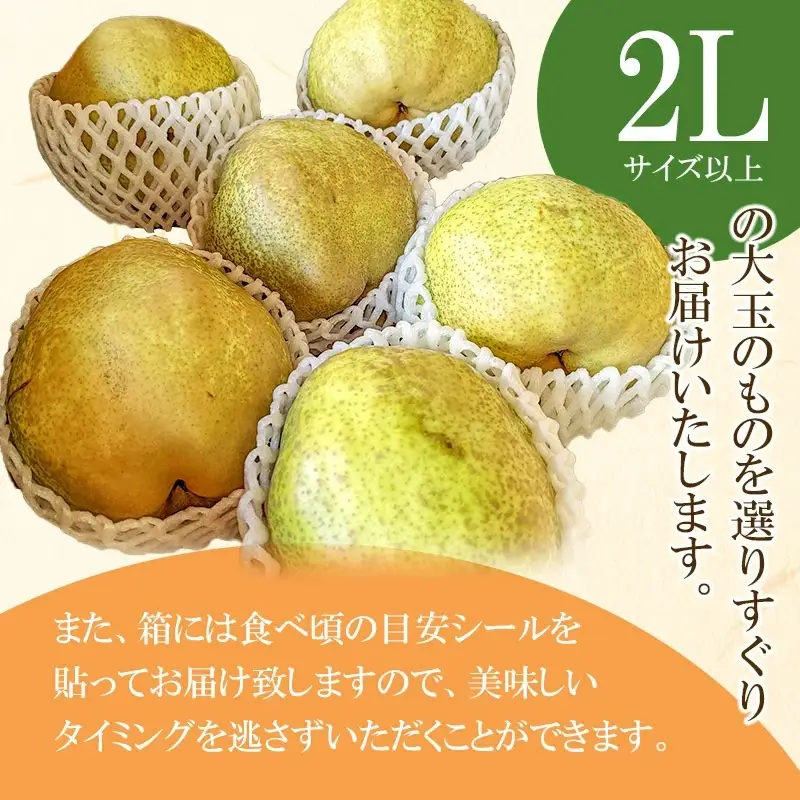 【令和8年産先行予約】ラ・フランス　約3kg 2L以上（秀品）　山形県鶴岡市　庄内産直センター　| ラフランス 洋梨 洋なし 果物 くだもの フルーツ 旬 産地直送 期間限定 人気 美味しい お取り寄せ 庄内 東北 返礼品