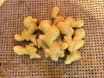 信玄生姜　おろし生姜