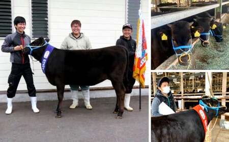 宮崎牛 リブロース しゃぶしゃぶ すき焼き用 700g 牛肉  国産 冷凍 数量限定 宮崎県 九州 発送時期が選べる 送料無料 日本一 祝！宮崎牛は、史上初和牛オリンピック４大会連続内閣総理大臣賞受賞！ 