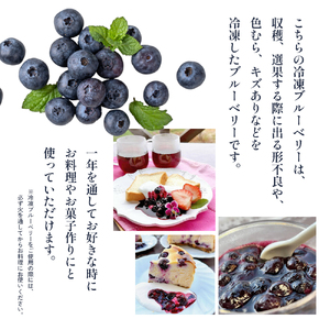 ブルーベリー Lucaho Farm 100g×5p 香川県産 冷凍ブルーベリー 冷凍ブルーベリー フルーツ 果物 くだもの 旬のフルーツ 旬の果物 冷凍 香川 香川県 東かがわ市