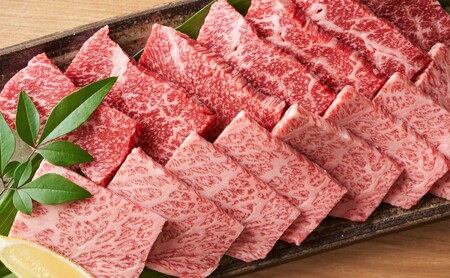 佐賀牛 艶さし！【A4～A5】佐賀牛焼肉用 500g 肉 お肉 牛肉 和牛 牛 ※配送不可：離島 