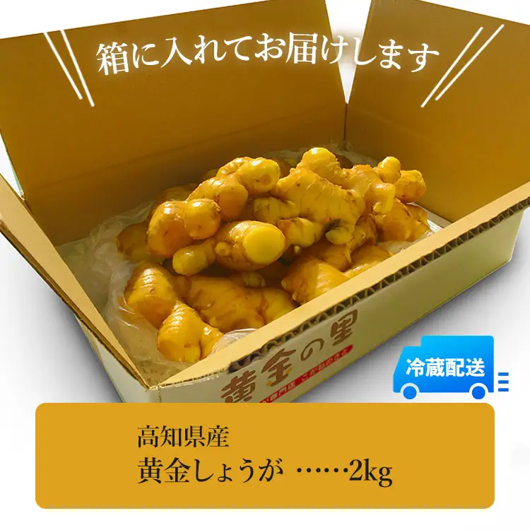 【生姜一筋70年】生姜老舗問屋 黄金しょうが2kg 高知県 香南市 坂田信夫商店 Xnb-0007
